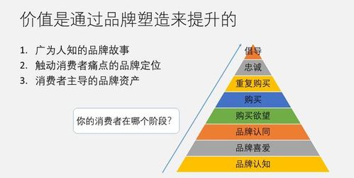 移動(dòng)互聯(lián)網(wǎng)時(shí)代品牌建設(shè)與營銷戰(zhàn)略——以互聯(lián)網(wǎng)銷售為核心
